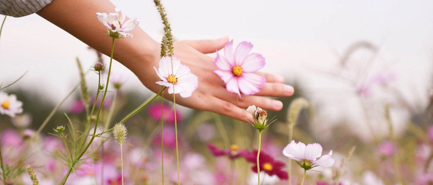 Les émotions et les Fleurs de Bach