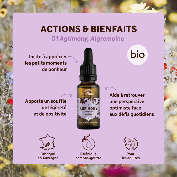 bf001-biofloral-01-agrimony-compte-gouttes-20ml-fr23-3760029841011-02.jpg