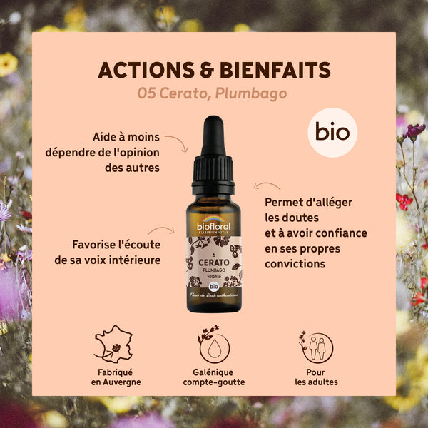 bf005-biofloral-05-cerato-compte-gouttes-20ml-fr23-3760029841059-02.jpg