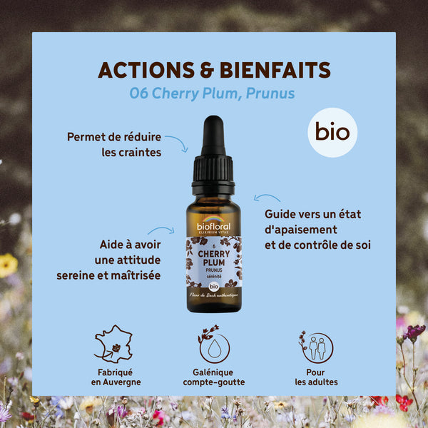 bf006-biofloral-06-cherryplum-compte-gouttes-20ml-fr23-3760029841066-02.jpg