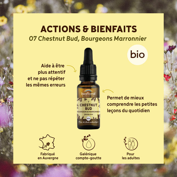 bf007-biofloral-07-chestnutbud-compte-gouttes-20ml-fr23-3760029841073-02.jpg