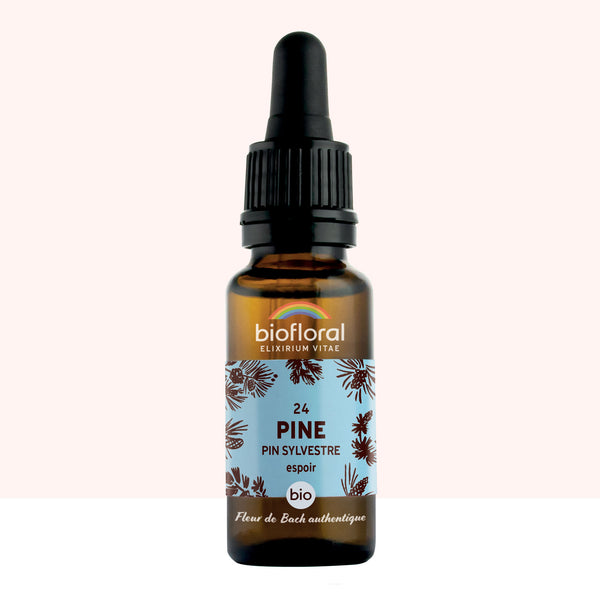 bf024-biofloral-24-pine-compte-gouttes-20ml-fr23-3760029841240-01.jpg