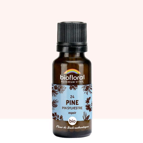 bf024g-biofloral-24-pine-granules-20g-fr23-3760385320595-01.jpg