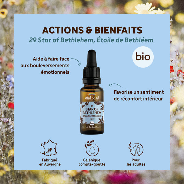 bf029-biofloral-29-star-of-bethlehem-compte-gouttes-20ml-fr23-3760029841295-02.jpg