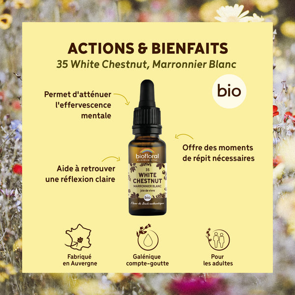 bf035-biofloral-35-whitechestnut-compte-gouttes-20ml-fr23-3760029841356-02.jpg