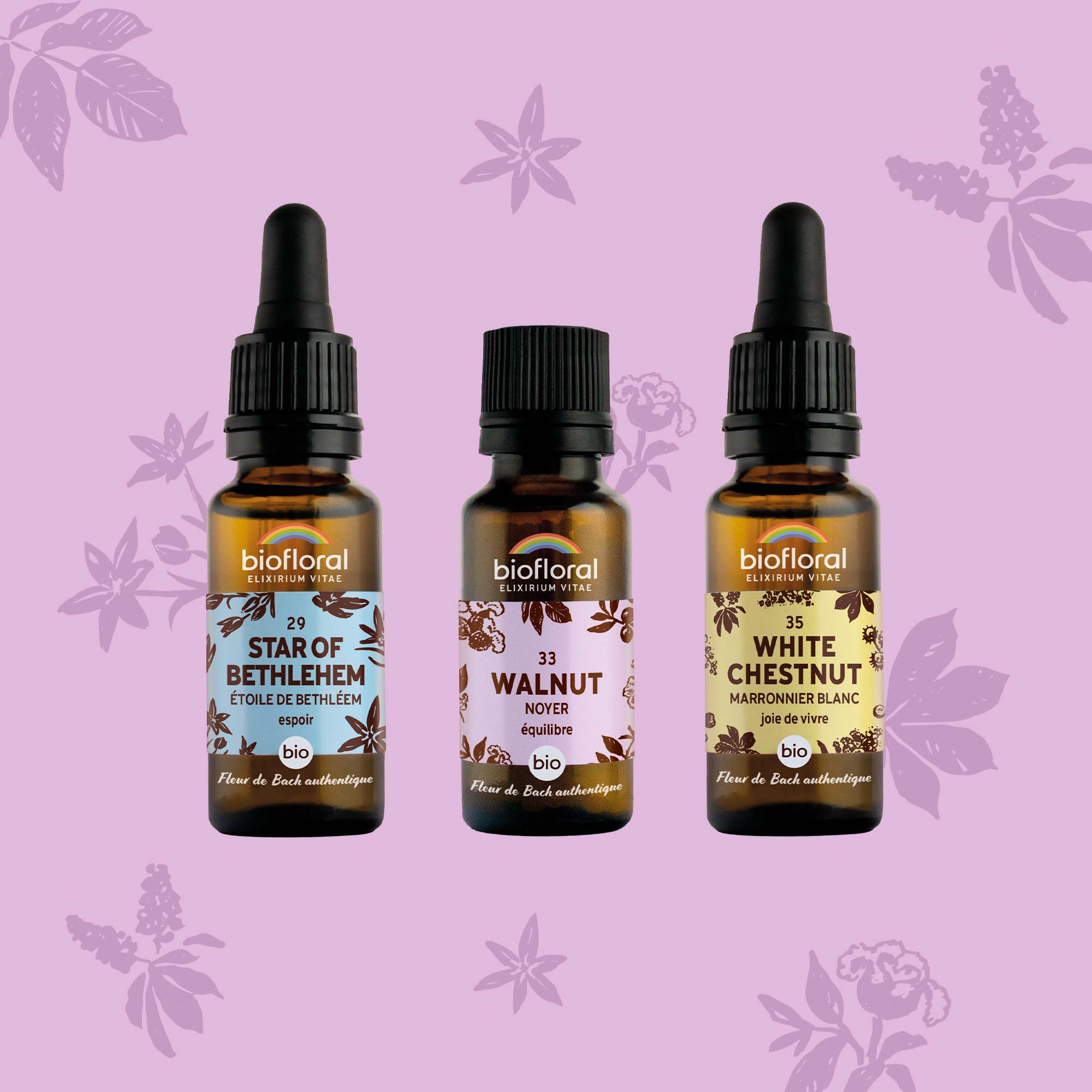 Trio de trois élixirs de fleurs de Bach : Walnut, Star of Bethlehem et White Chestnut.