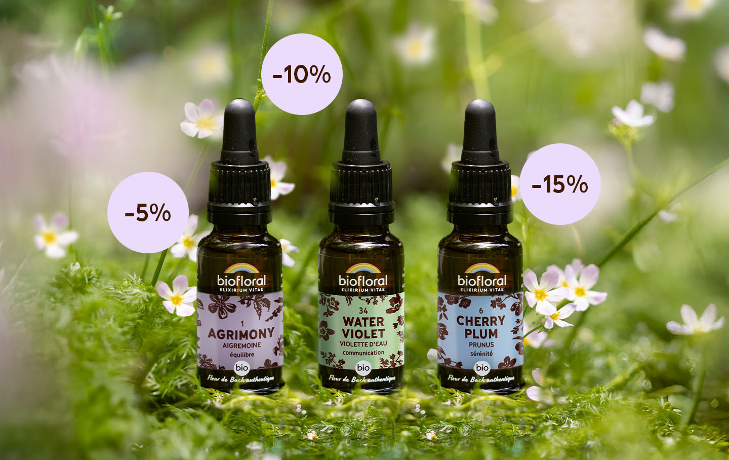 Trio de flacons d’élixirs de fleurs de Bach en gouttes, aux vertus spécifiques.