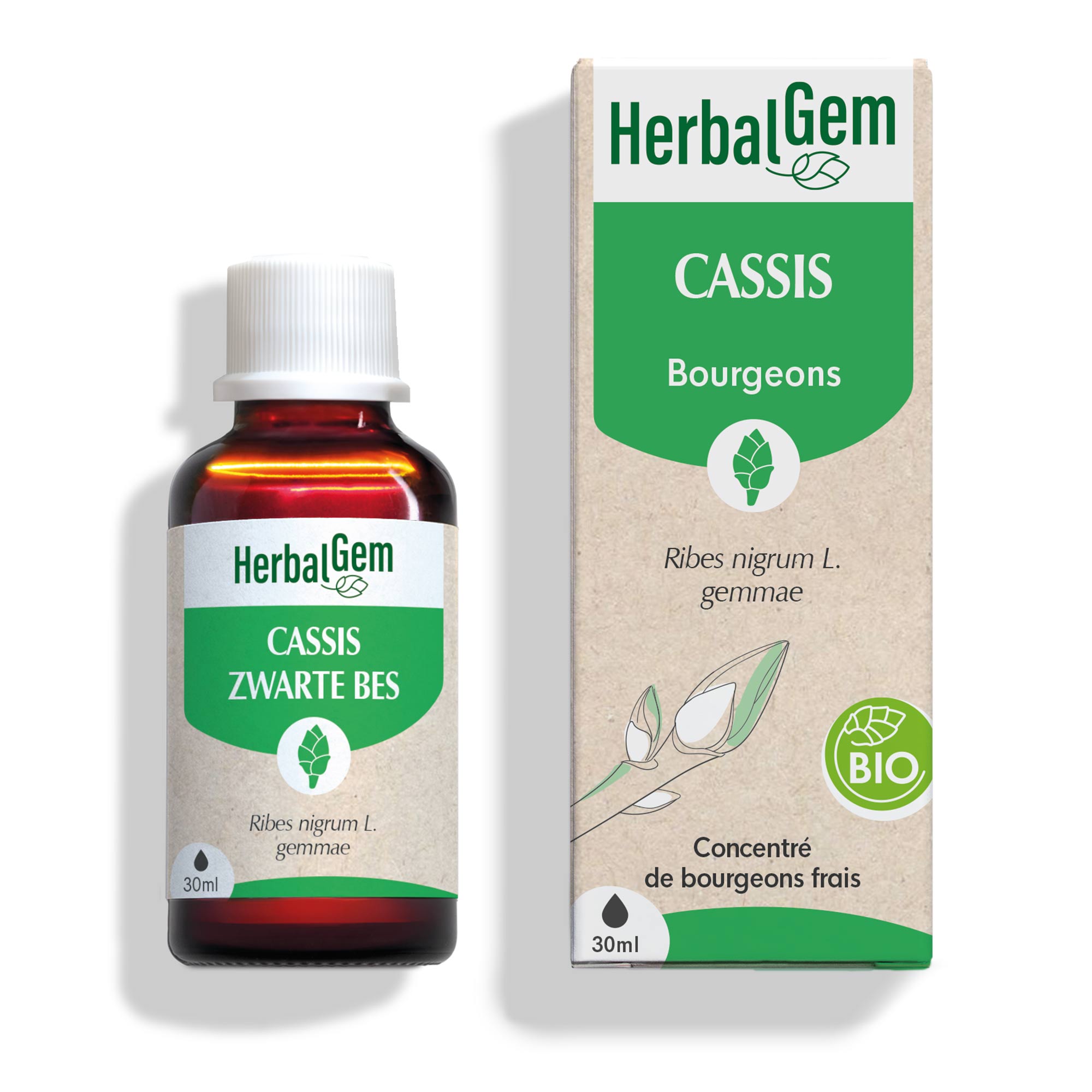 BLACK CURRANT - Bio