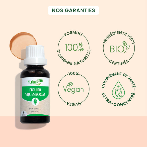 030173-figuier-herbalgem-30ml-fr24-5425009101438-03.jpg