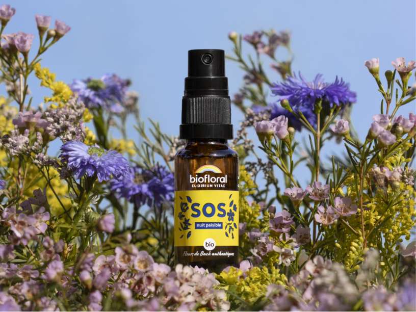 Produits complexe-secours-nuit-paisible-040n-spray-bio