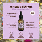 bf001-biofloral-01-agrimony-compte-gouttes-20ml-fr23-3760029841011-02.jpg