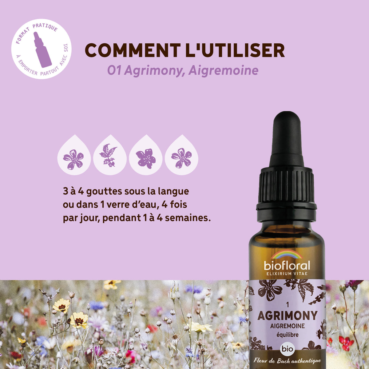 bf001-biofloral-01-agrimony-compte-gouttes-20ml-fr23-3760029841011-04.jpg