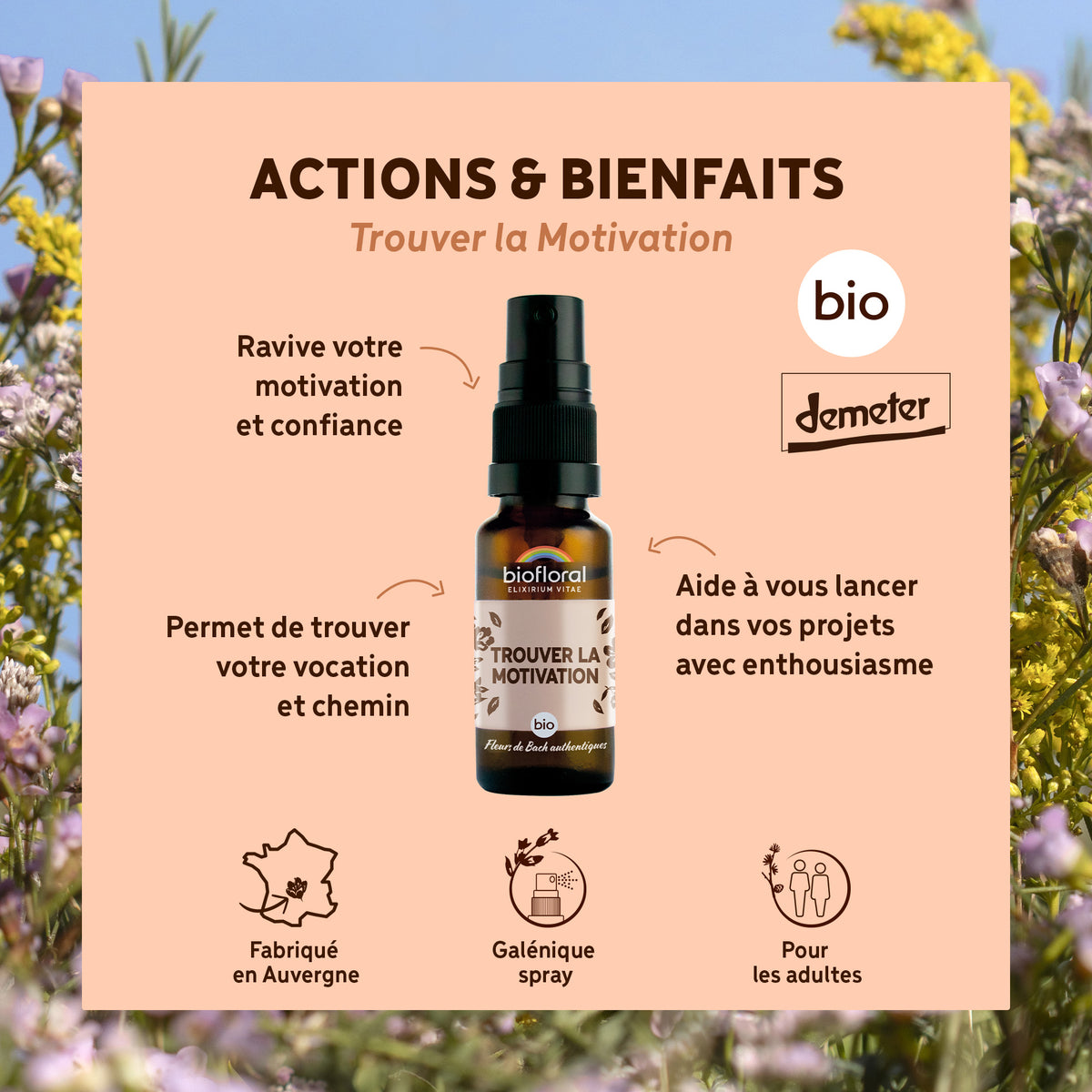 bf001240-biofloral-trouver-motivation-spray-20ml-fr23-3760385320137-02.jpg