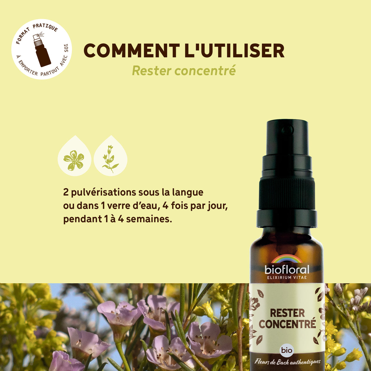 bf001310-biofloral-rester-concentre-spray-20ml-fr23-3760385320205-04.jpg
