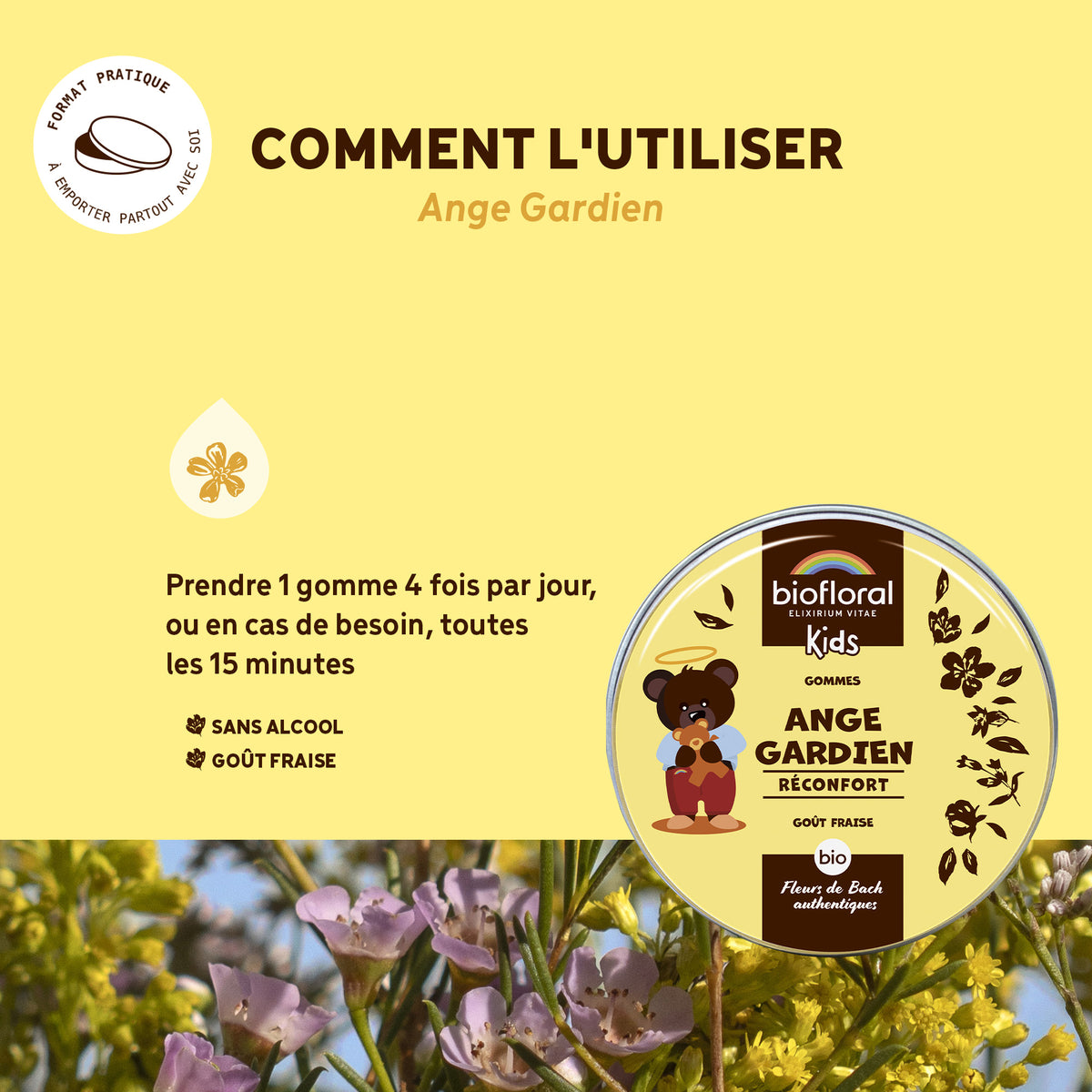 bf004610-biofloral-enfants-ange-gardien-gommes-45gommes-fr23-3760385320328-03.jpg