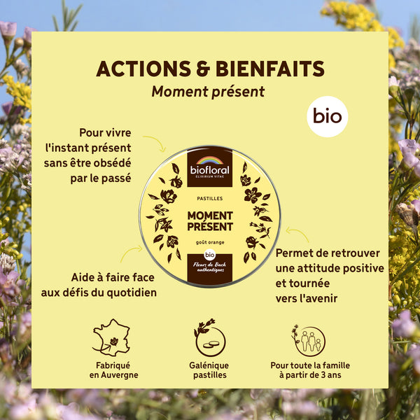 bf004660-biofloral-moment-present-pastilles-50g-fr23-3760385320038-02.jpg