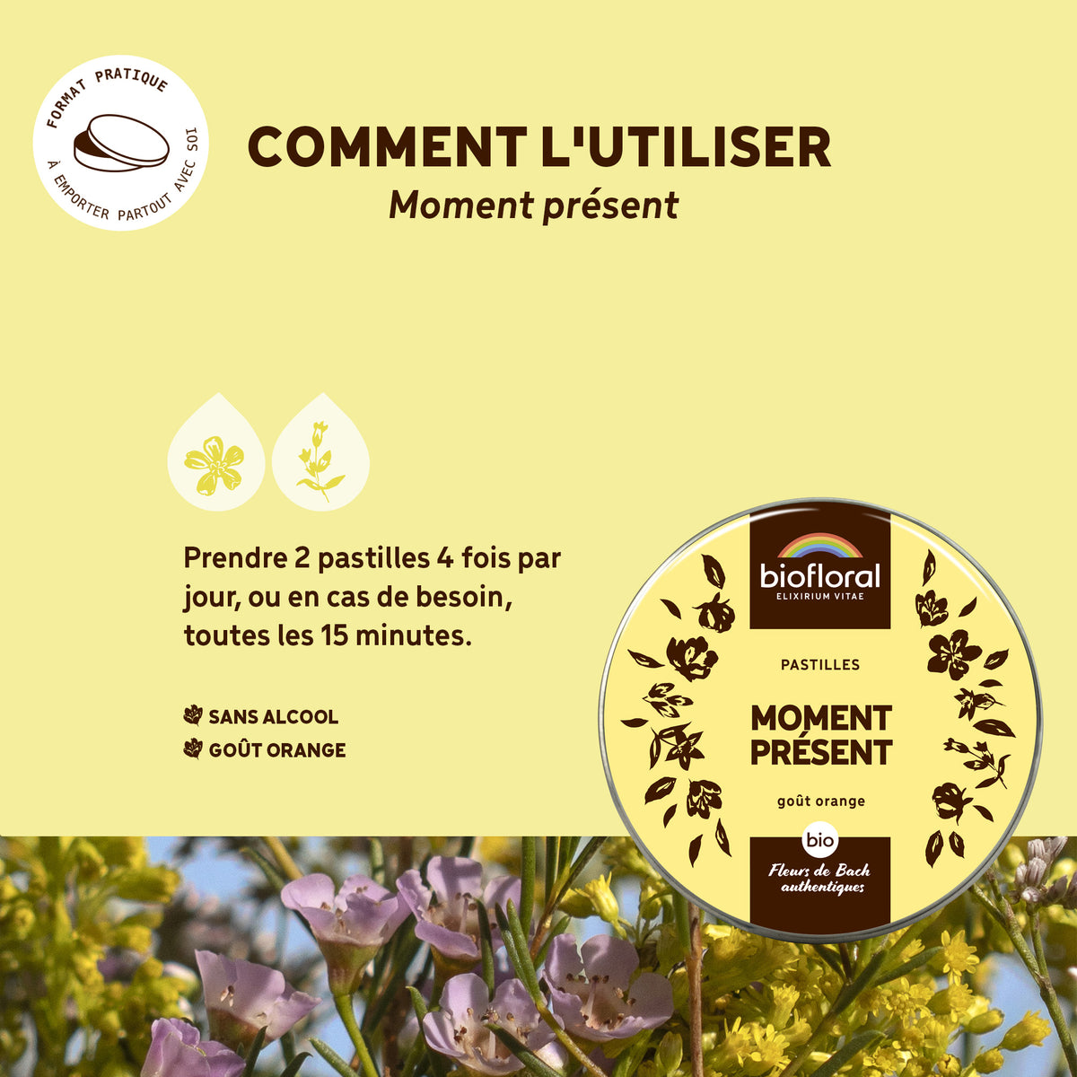 bf004660-biofloral-moment-present-pastilles-50g-fr23-3760385320038-04.jpg