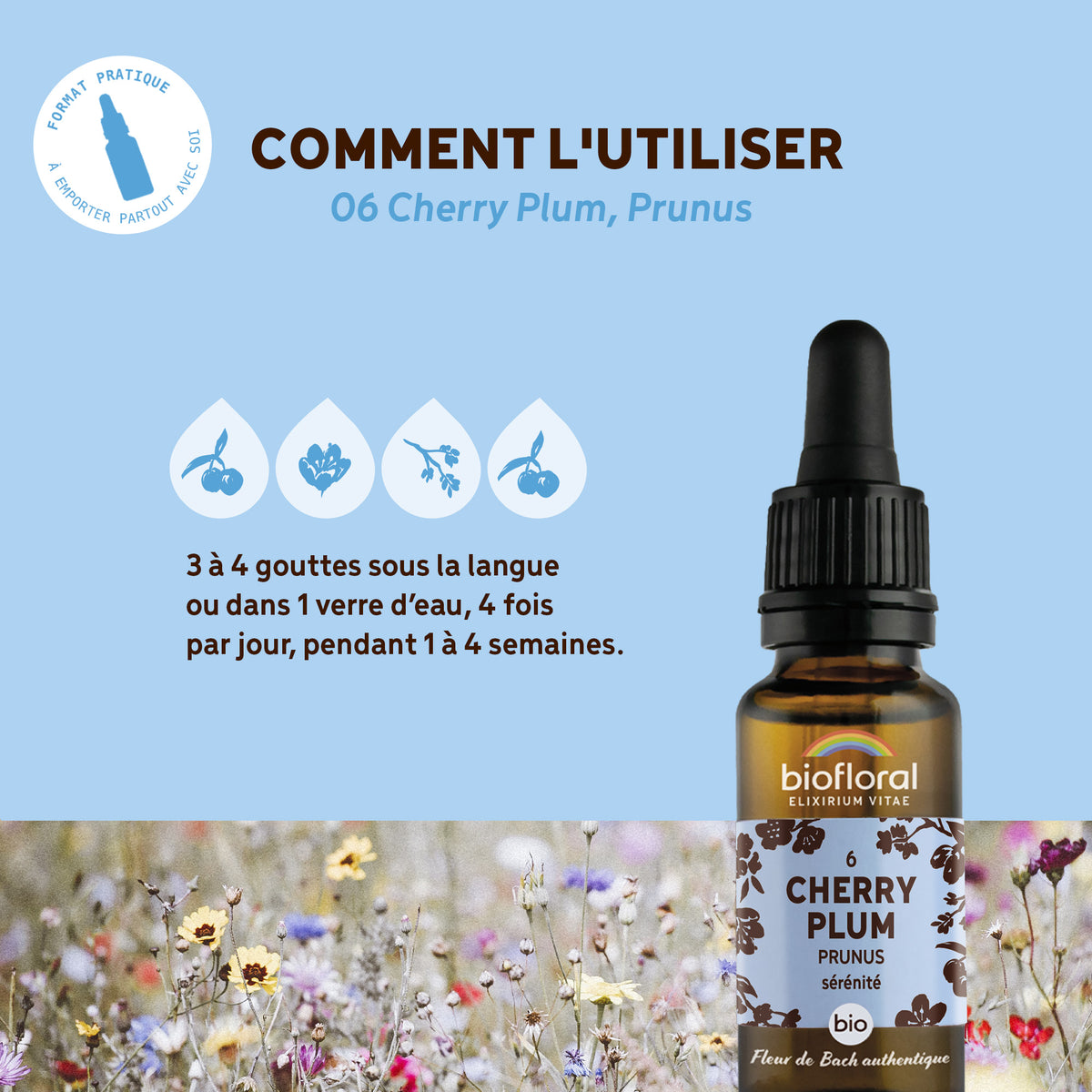 bf006-biofloral-06-cherryplum-compte-gouttes-20ml-fr23-3760029841066-04.jpg
