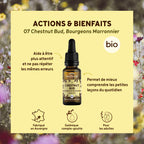 bf007-biofloral-07-chestnutbud-compte-gouttes-20ml-fr23-3760029841073-02.jpg