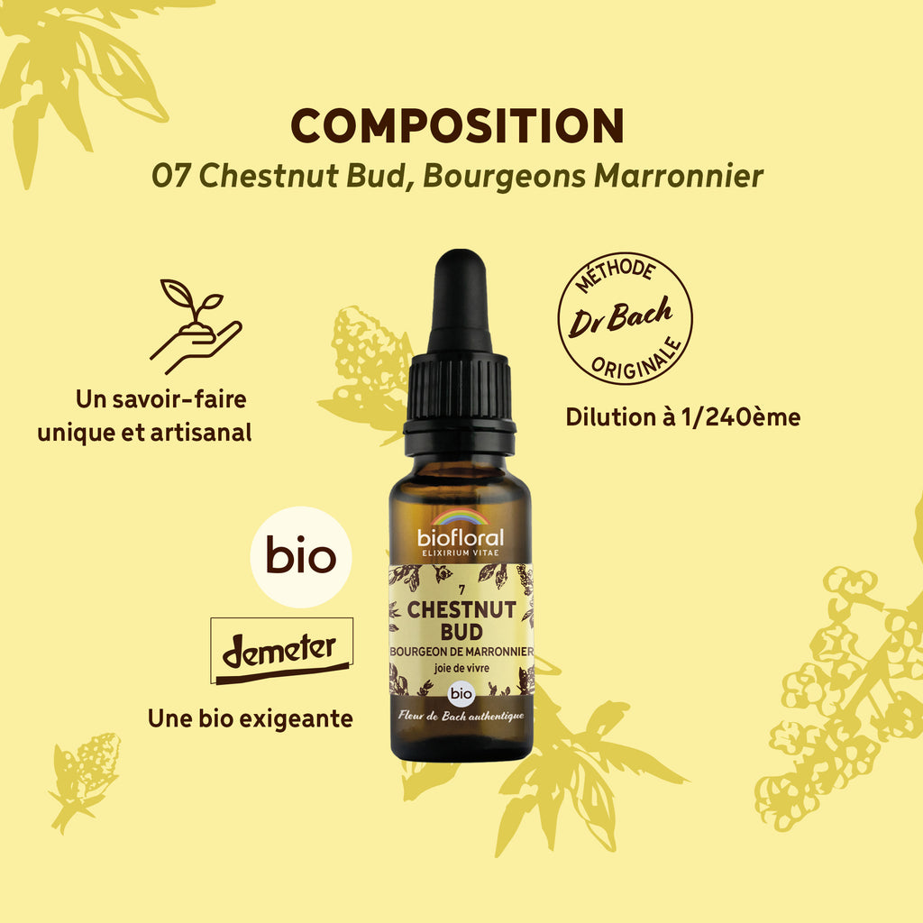 bf007-biofloral-07-chestnutbud-compte-gouttes-20ml-fr23-3760029841073-03.jpg