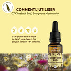 bf007-biofloral-07-chestnutbud-compte-gouttes-20ml-fr23-3760029841073-04.jpg