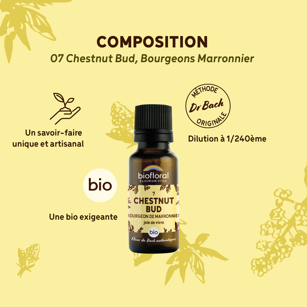bf007g-biofloral-07-chestnutbud-granules-20g-fr23-3760385320427-03.jpg