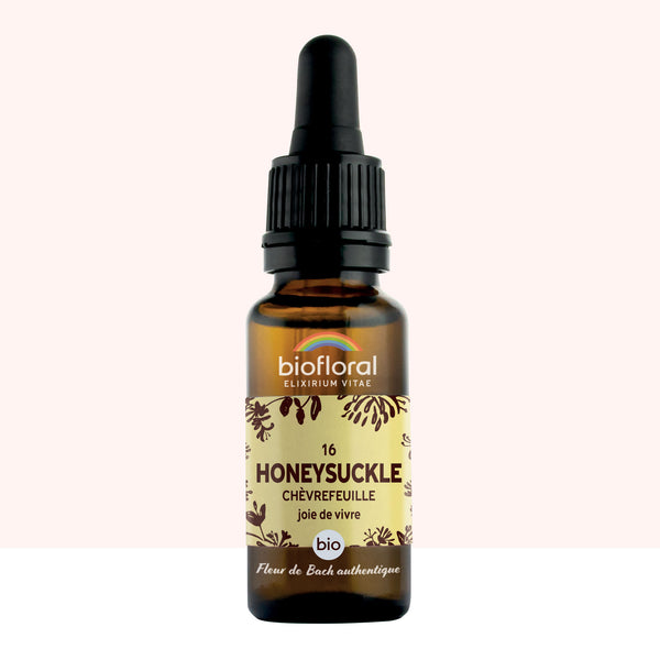 bf016-biofloral-16-honeysuckle-compte-gouttes-20ml-fr23-3760029841165-01.jpg