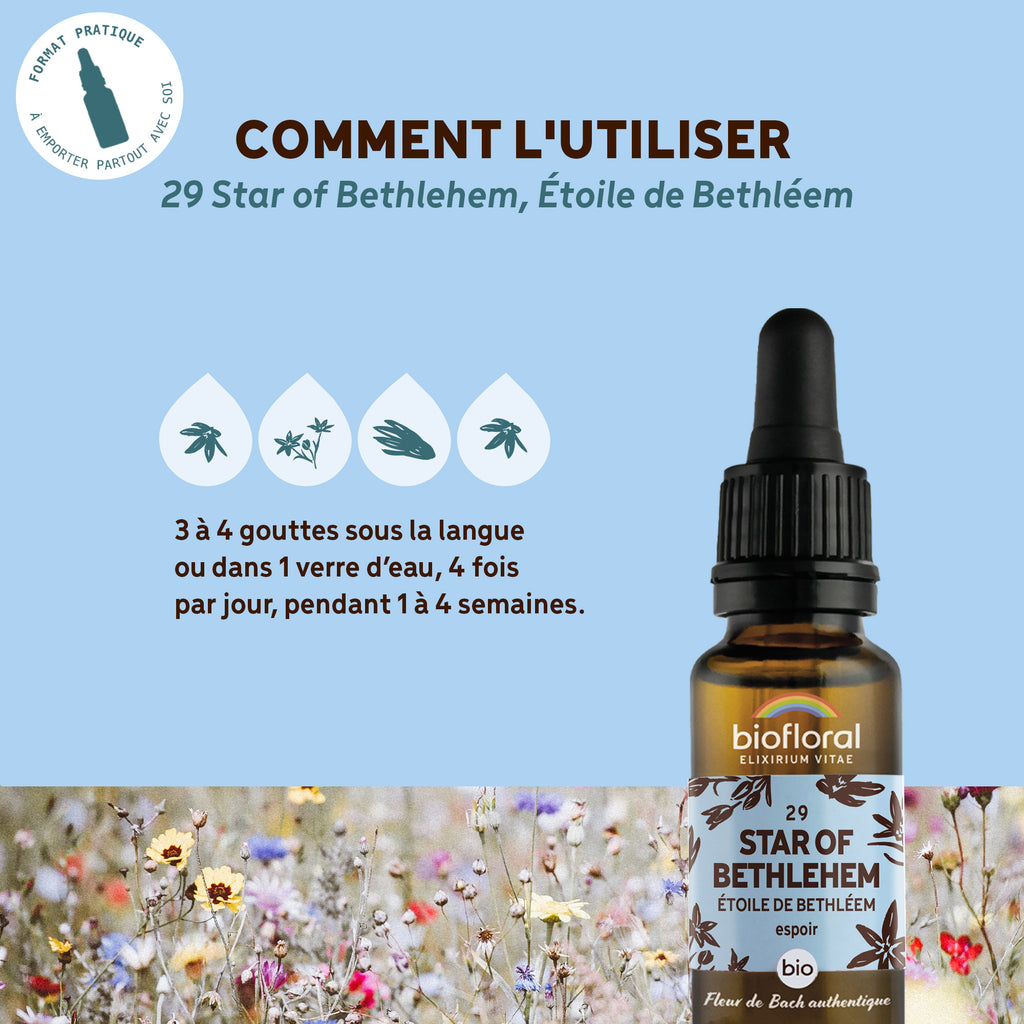 bf029-biofloral-29-star-of-bethlehem-compte-gouttes-20ml-fr23-3760029841295-04.jpg