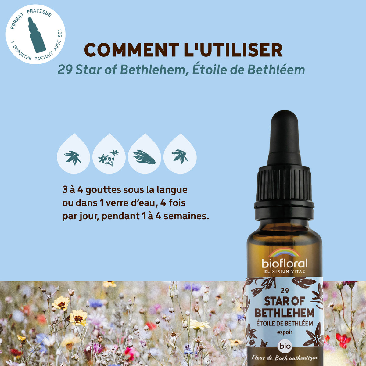 bf029-biofloral-29-star-of-bethlehem-compte-gouttes-20ml-fr23-3760029841295-04.jpg