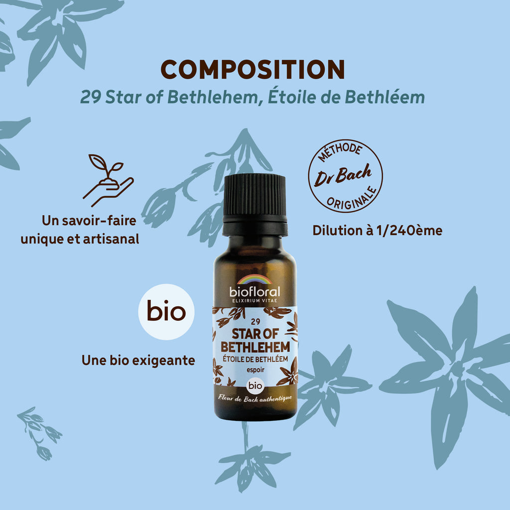 bf029g-biofloral-29-star-of-bethlehem-granules-20g-fr23-3760385320649-03.jpg