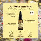 bf035-biofloral-35-whitechestnut-compte-gouttes-20ml-fr23-3760029841356-02.jpg