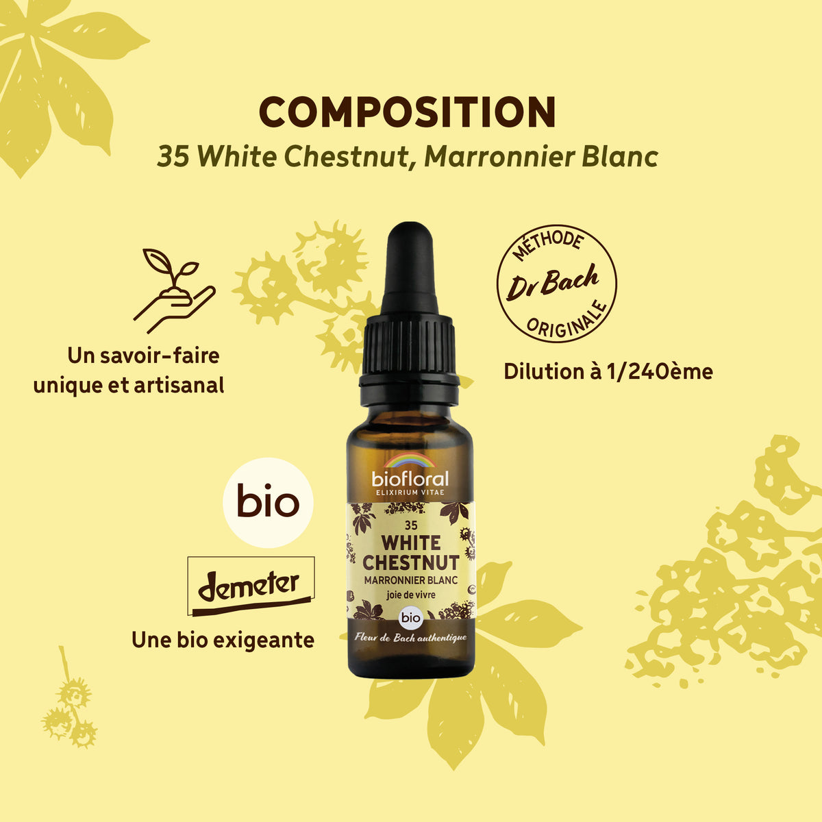 bf035-biofloral-35-whitechestnut-compte-gouttes-20ml-fr23-3760029841356-03.jpg