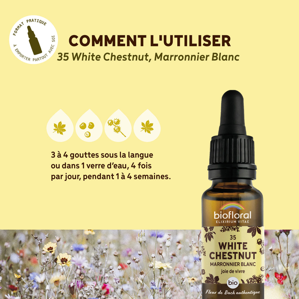 bf035-biofloral-35-whitechestnut-compte-gouttes-20ml-fr23-3760029841356-04.jpg
