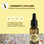 bf035-biofloral-35-whitechestnut-compte-gouttes-20ml-fr23-3760029841356-04.jpg