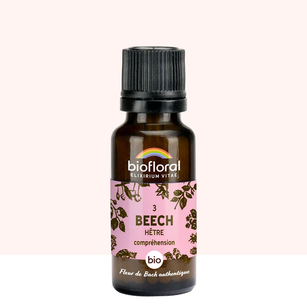 Granules bio aux fleurs de Bach Beech remède naturel pour cultiver tolérance ouverture d’esprit et relations harmonieuses