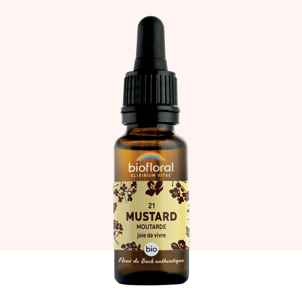 Flacon de fleur de Bach Mustard Biofloral avec compte-gouttes 20ml.