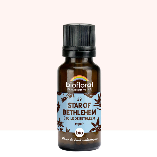 Élixir Star of Bethlehem aidant à faire face aux émotions soudaines et aux bouleversements