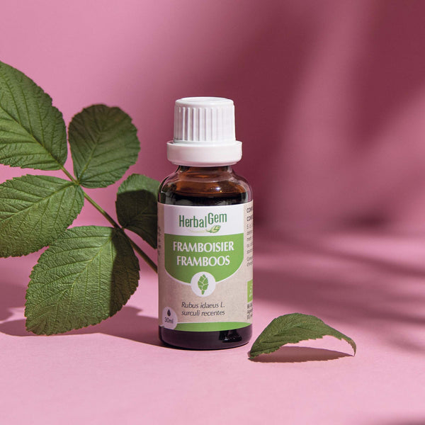 Élixir de bourgeon de framboisier Herbalgem bio, gemmothérapie pour l’équilibre féminin et la vitalité.